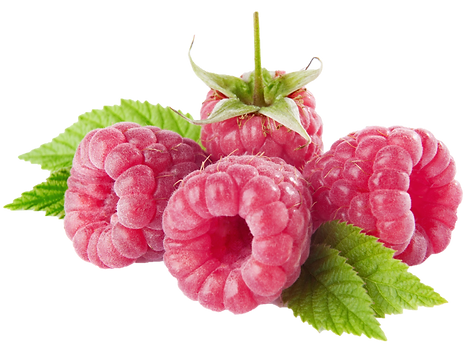 Raspberries_PNG_Picture.png