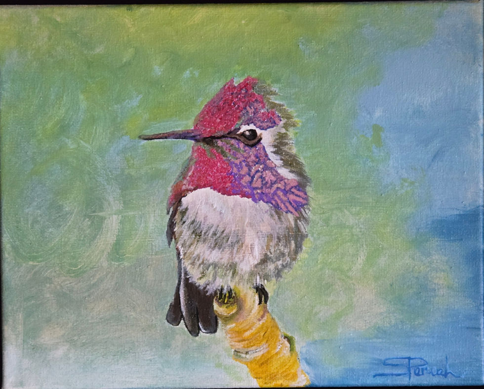 Purple Grey Hummingbird