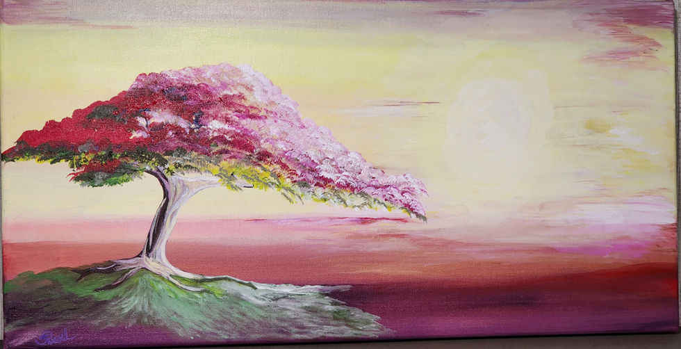 Acacia Tree