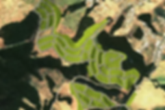 snapshot (8).webp