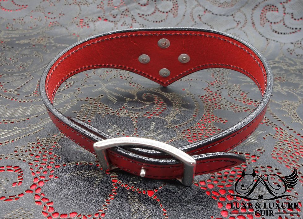 Collier BDSM Phébus