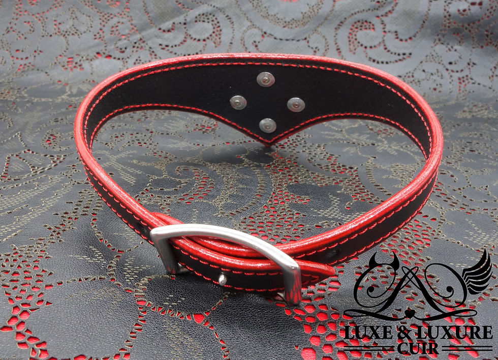 Collier BDSM Phébus