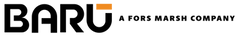 ForsMarsh_Acq_Logos_Logo Horizontal - Baru.png