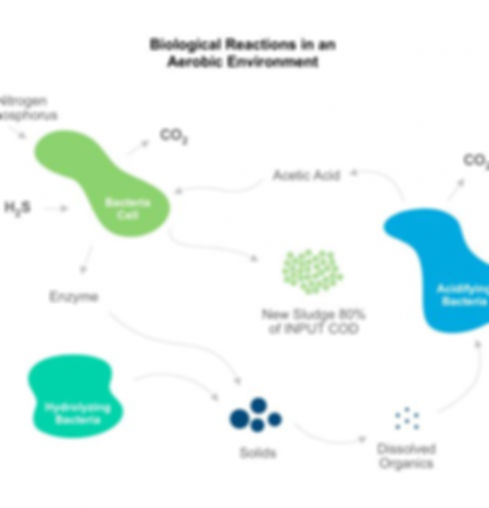 bio-ran-biological-reactions-in-an-aerobic-environment-en-2-600x508.jpg