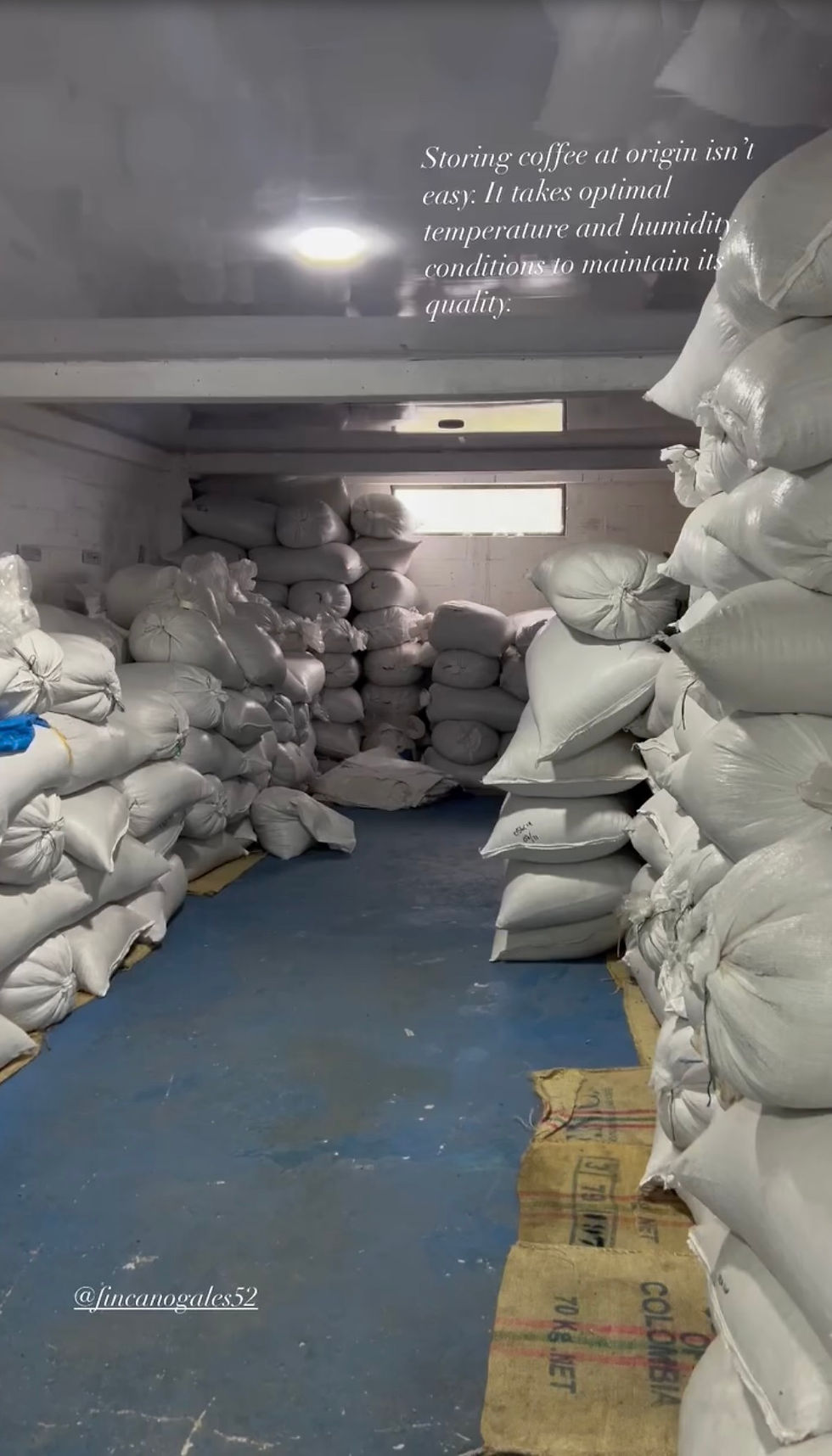 How Fermentation Time and Climate-Controlled Storage Protect Coffee Freshness