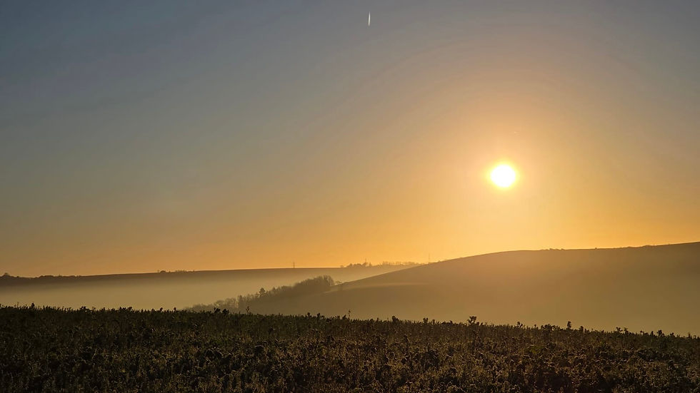 Dawn View Through the Valley