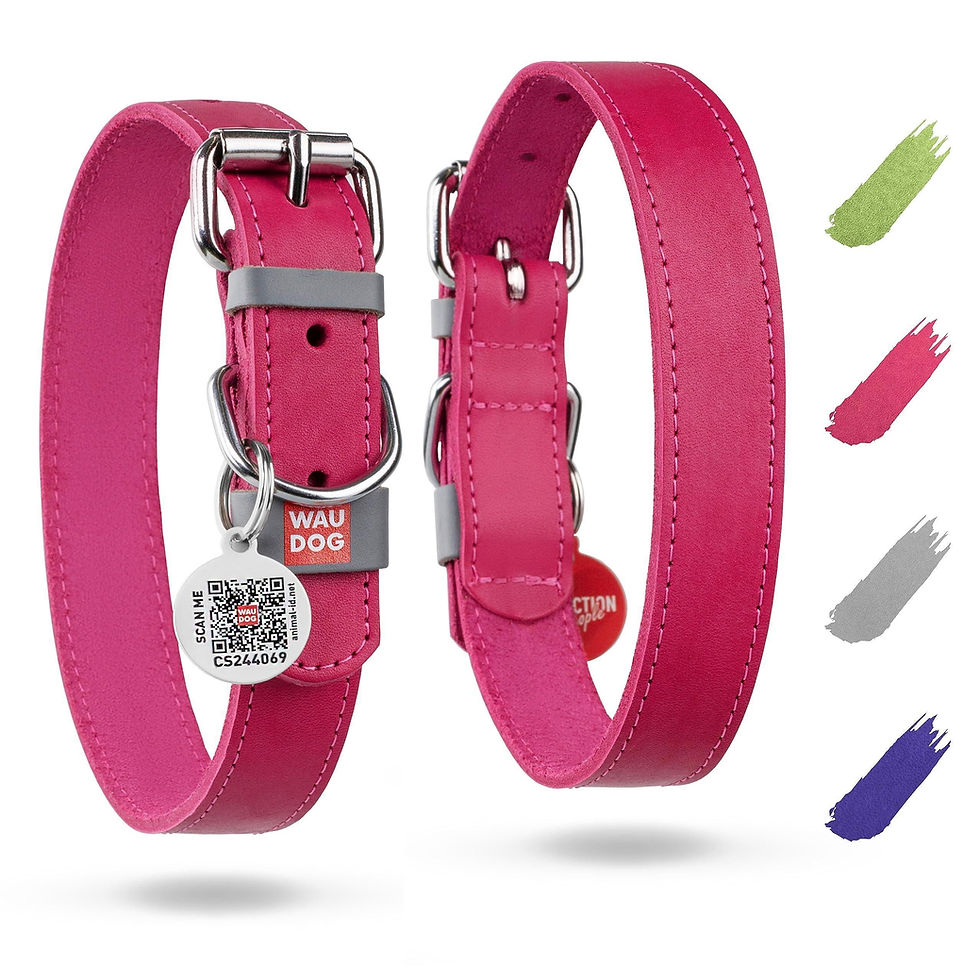 Miniatura: Pink Long Lasting Leather Dog Collar Adjustable for Medium Dogs 1215 inch Neck