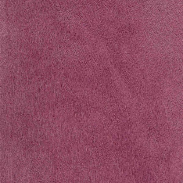 Cavallino Haired Hide