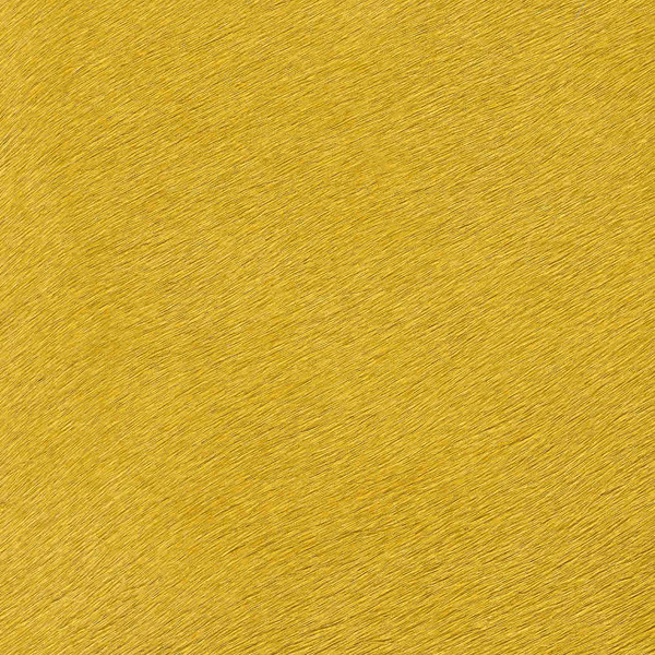 Cavallino Haired Hide