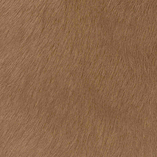 Cavallino Haired Hides