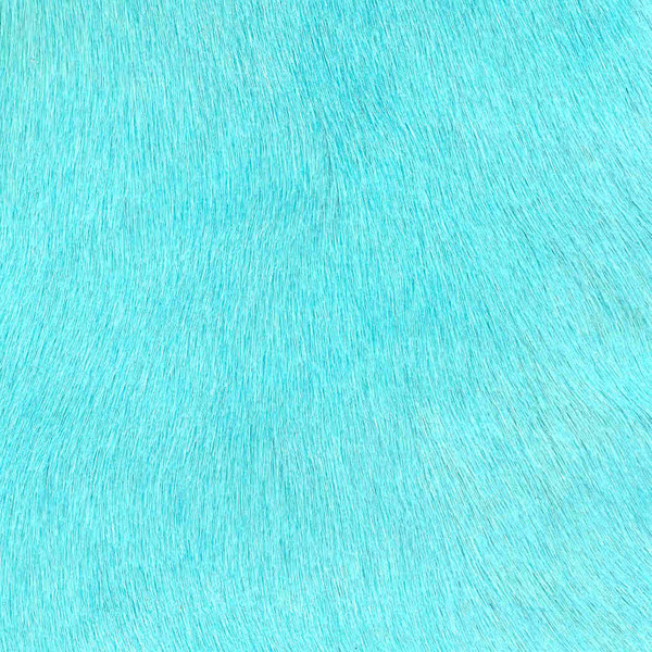 Cavallino Haired Hide