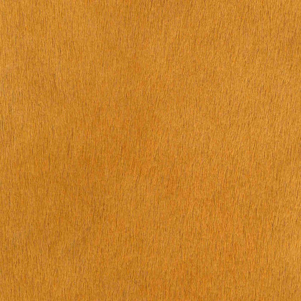 Cavallino Haired Hide