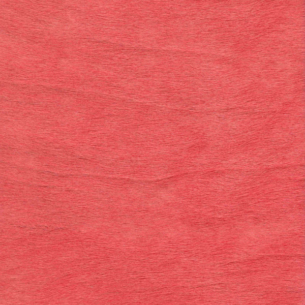 Cavallino Haired Hide