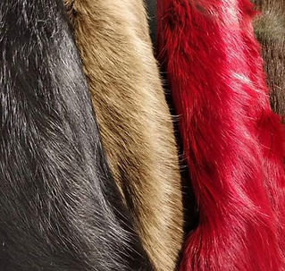 Italian Dyed Coloured and Dyed CowhideRugs