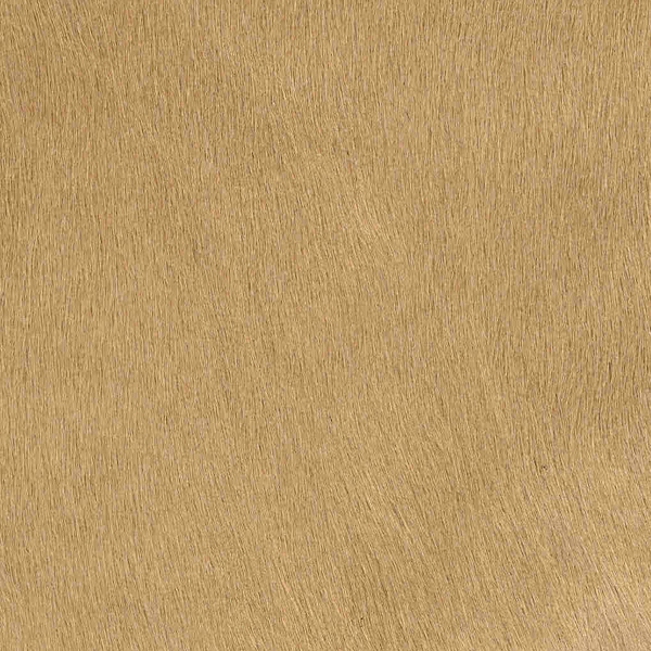 Cavallino Haired Hides