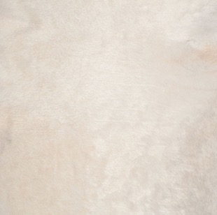 Cavallino Haired Hide