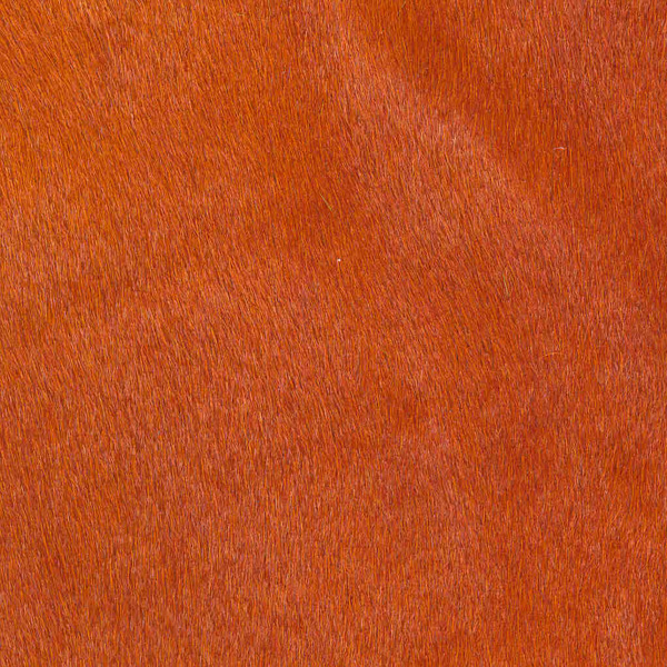 Cavallino Haired Hide