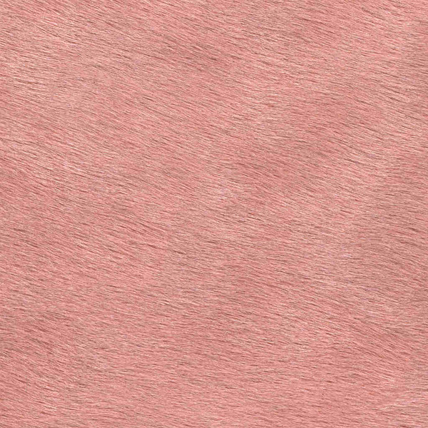 Cavallino Haired Hide