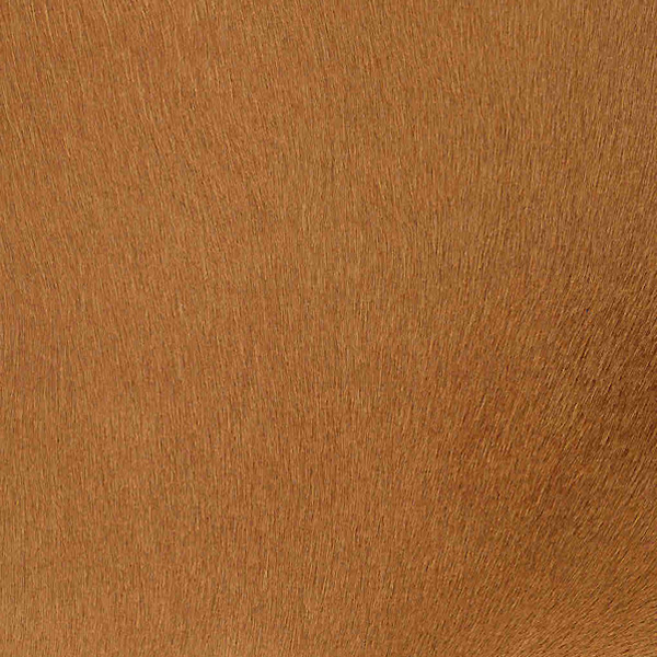 Cavallino Haired Hides