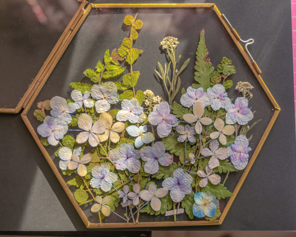 Pressed Flowers Flower Press Flower Press Kit Hydrangea Pressed Flower Frame Pressed Flower Wall Art