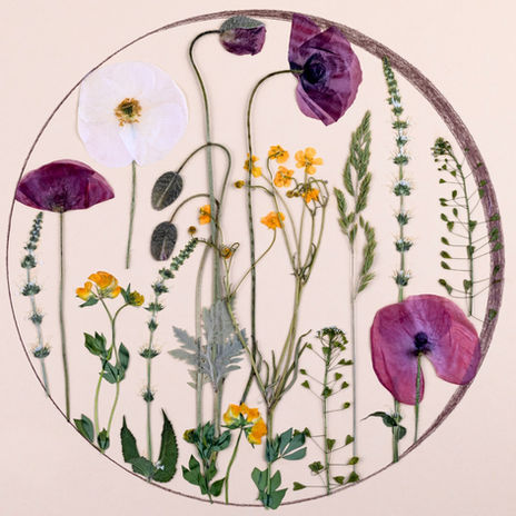 Pressed Flowers Flower Press Flower Pressing Kit Flower Press Kit Flower Pressing kit for adults preserved flowers pressed flower art