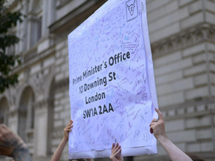 Animal Rebellion Appeals To DEFRA Board Ahead Of Planned Disruption Of Dairy Industry