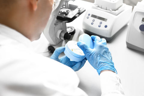 OEM Korean Skin Care Manufacturing