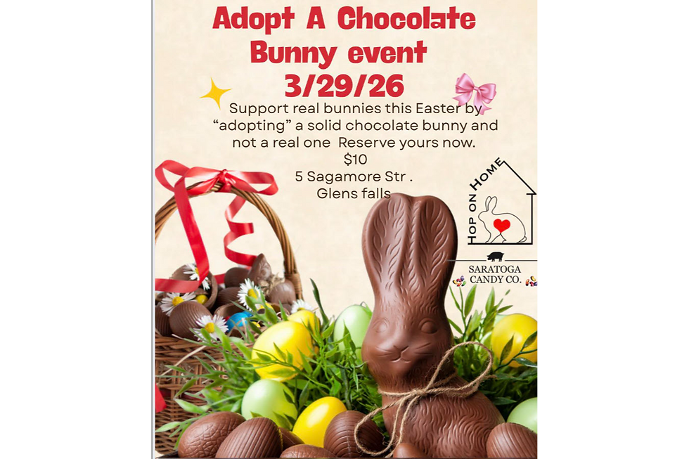 Adopt a Chocolate Bunny Event