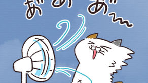 ８月の練習日（よみうりカルチャー会員様向け）