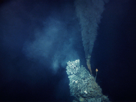 Глубоководные бактерии вместо Солнца используют внутреннее тепло Земли для фотосинтеза
