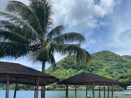 Collaborating for Better Health