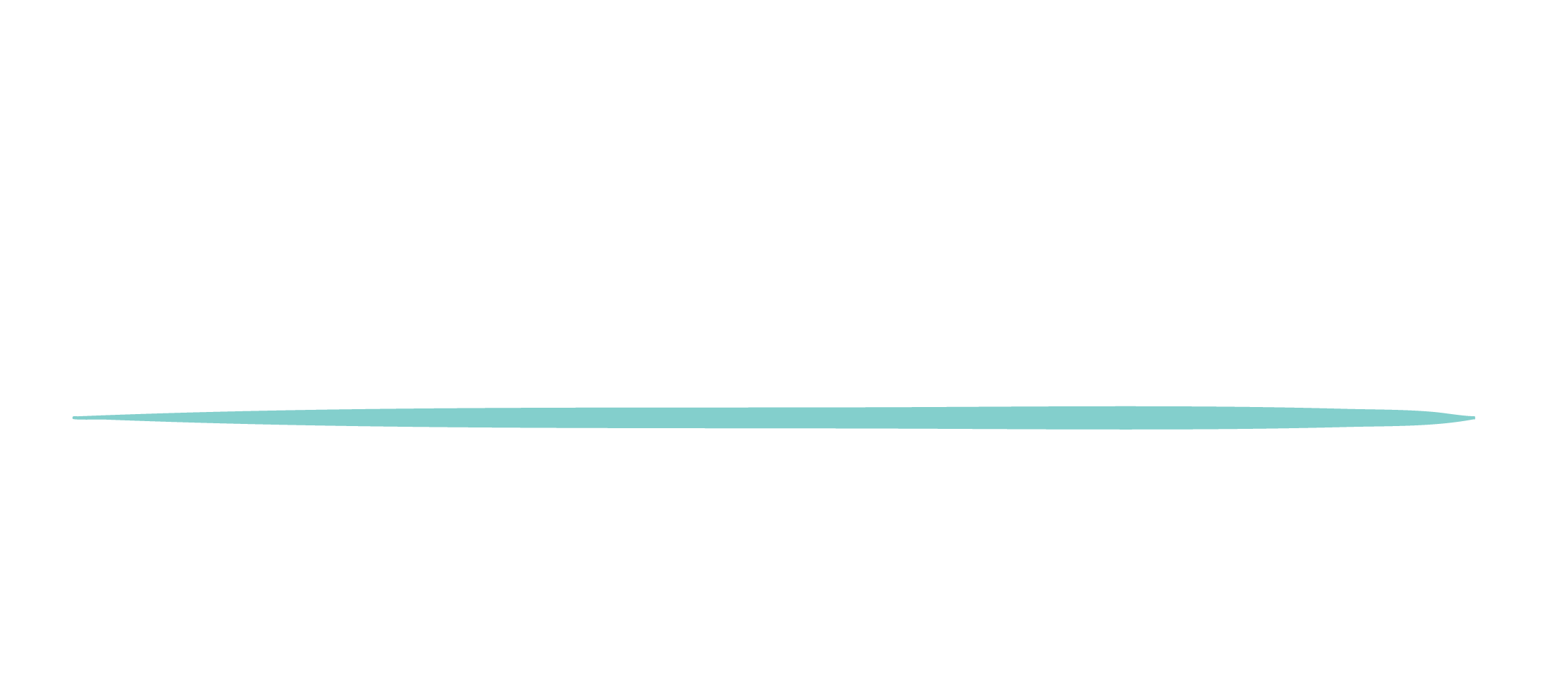 HIS Logo White.png