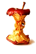 IMG_5021.png