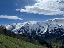IMG_5565.jpeg