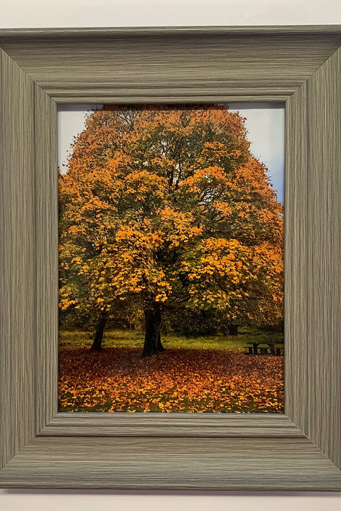 Framed Photo.jpg