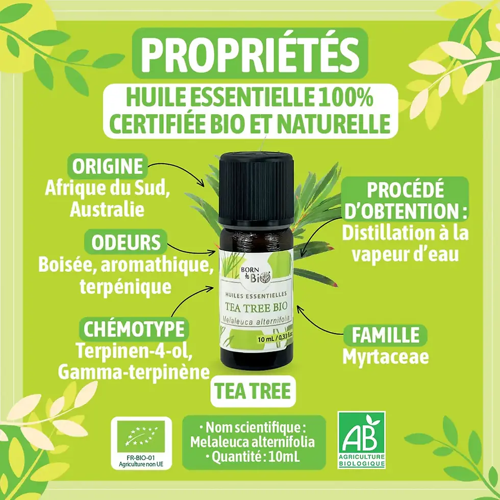 Miniature : Huile essentielle Tea tree (arbre à thé)