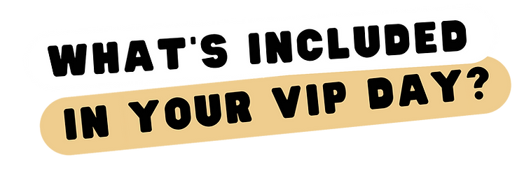 what's included in your VIP Day (1).png