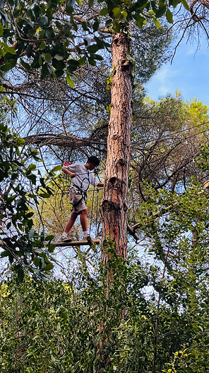 Tree-top adventure circuit in Mataró