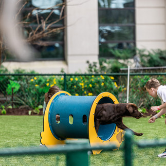 boy playing with dog in pensacola