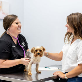 Lifestyle Marketing Photography of Vet Clinic in Chipley Florida