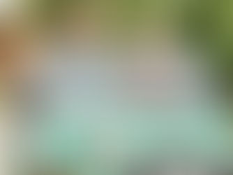 Cruise 30A | Lifestyle Branding Photography in 30A by Seagrove Marketing