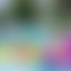 Sip & Sea | Complete Brand Launch Photography, Video Production, Marketing, Social Media Management by Seagrove Marketing