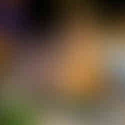 couple celebrating after playing golf