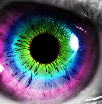 neural property of color perception