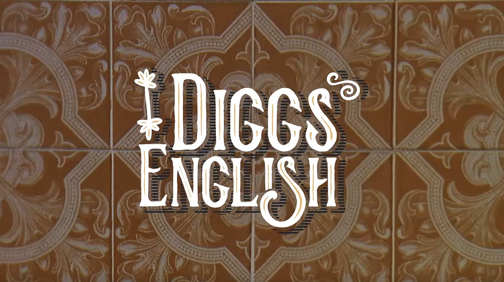 Diggs English - Welcome to Flip