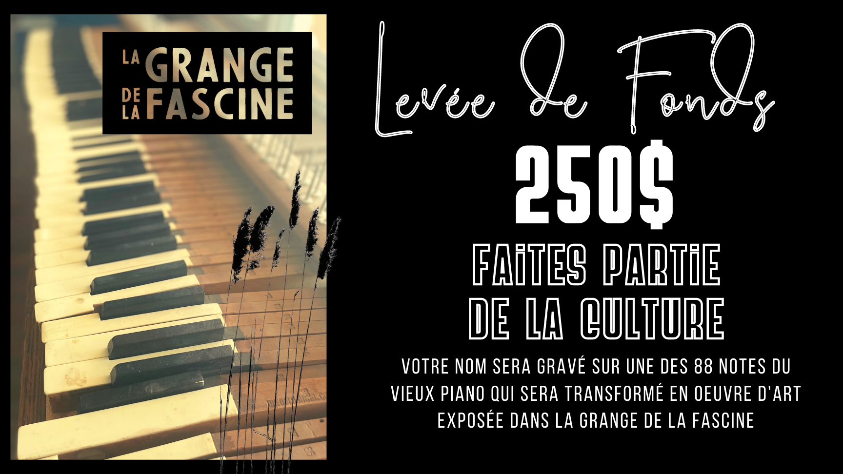 Faites partie de la culture - 250$