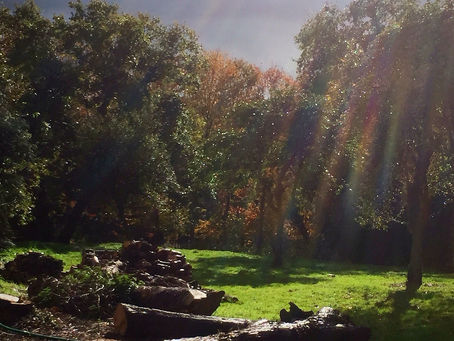 Minipelle, DP et danger !