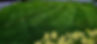 20230814_142713-EDIT_edited_edited_edited.jpg