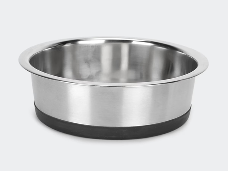 Shared Water Bowls and Toys: Hidden Germ Hotspots for Dogs in Auckland