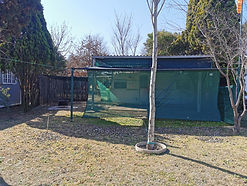 Site #5.jpg
